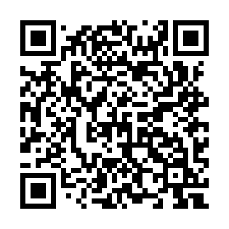 QR code for N87IYN