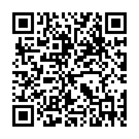 QR code for N89IBJ