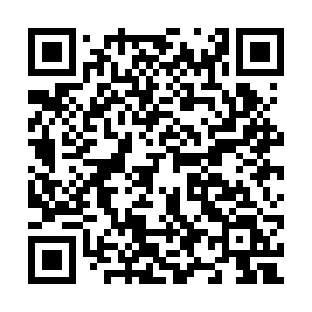 QR code for N91BRL