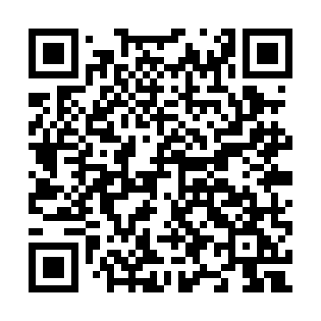QR code for N91PMG