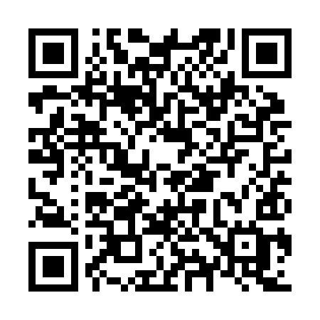 QR code for N91ZIG
