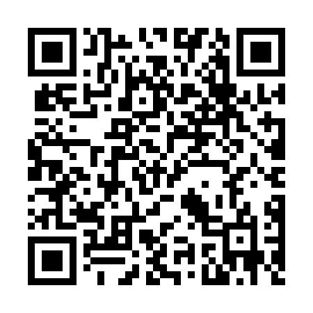 QR code for N95ALO