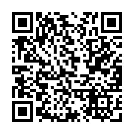 QR code for N95CRG