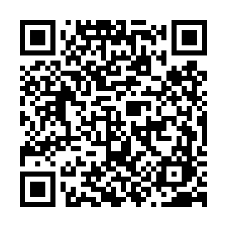 QR code for N95DVO