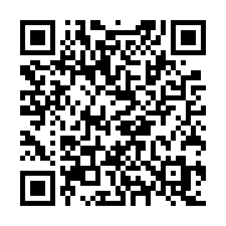 QR code for N95FRM