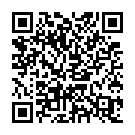 QR code for N95GCA