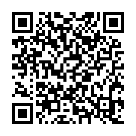 QR code for N95IVK