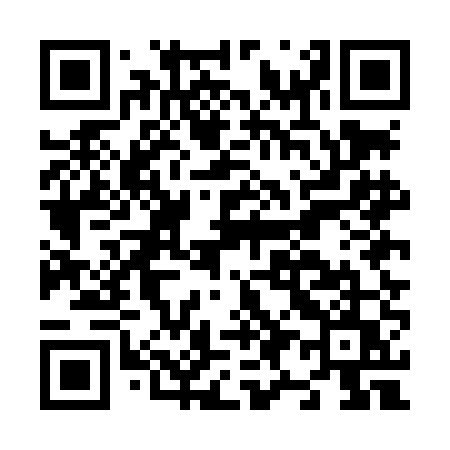 QR code for N95LEU
