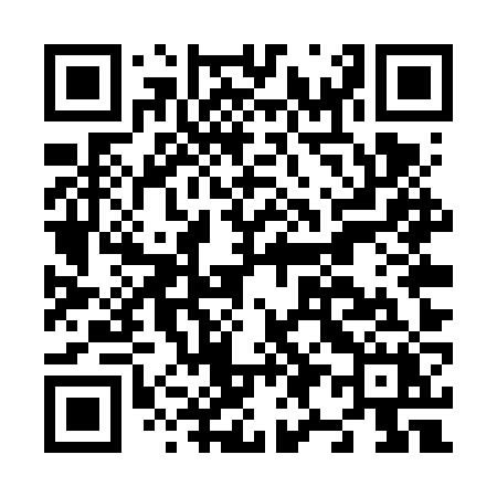 QR code for N95VZX