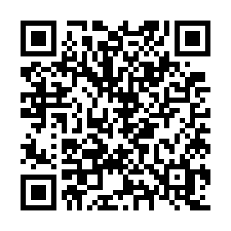 QR code for N95WKL