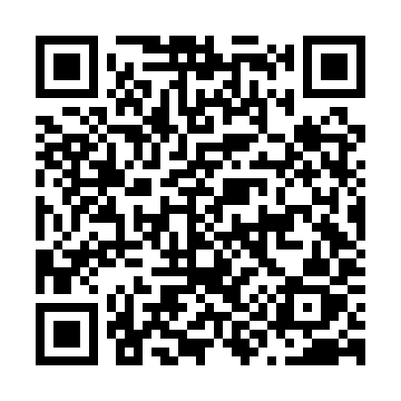 QR code for N96AYZ