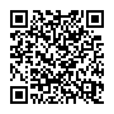 QR code for N96GZU