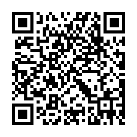 QR code for N96PJQ