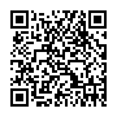 QR code for NAN60S