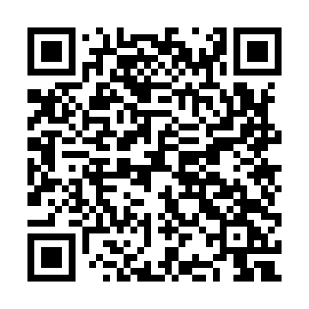 QR code for NBO94G