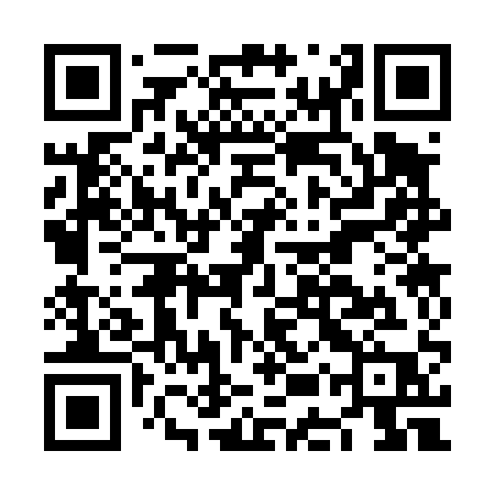 QR code for NES41P