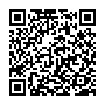 QR code for NFM29X