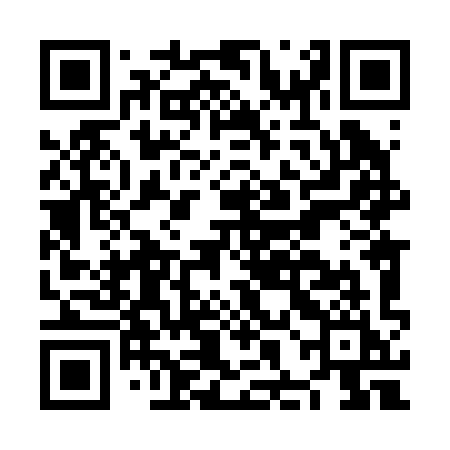 QR code for NHL29I