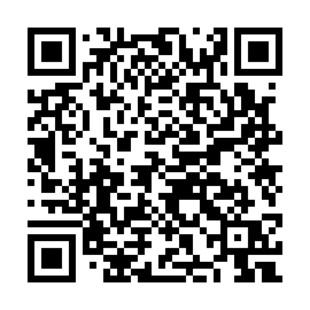 QR code for NHO13Q