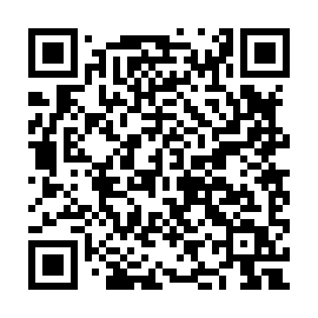 QR code for NIR89T