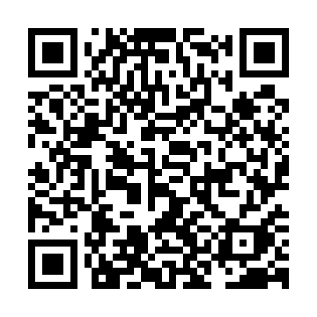 QR code for NKO51I