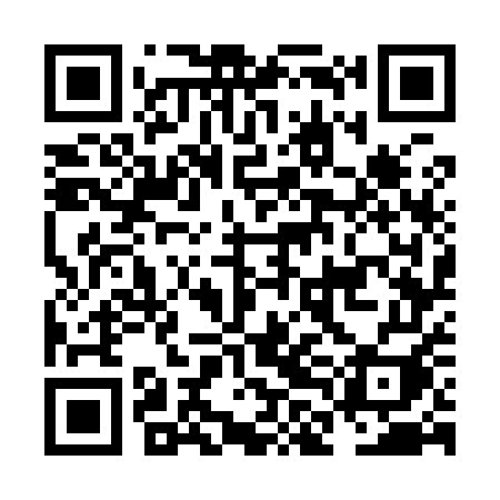 QR code for NLG95I