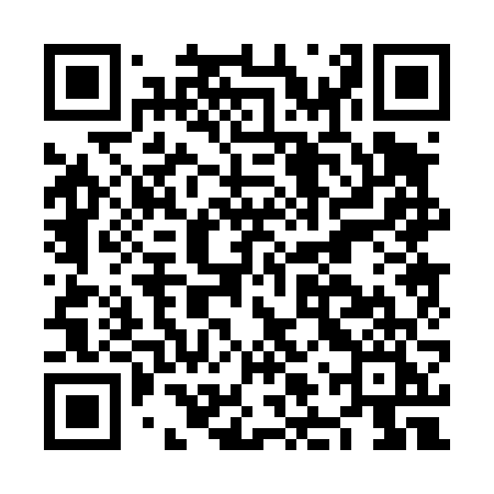 QR code for NLP46I