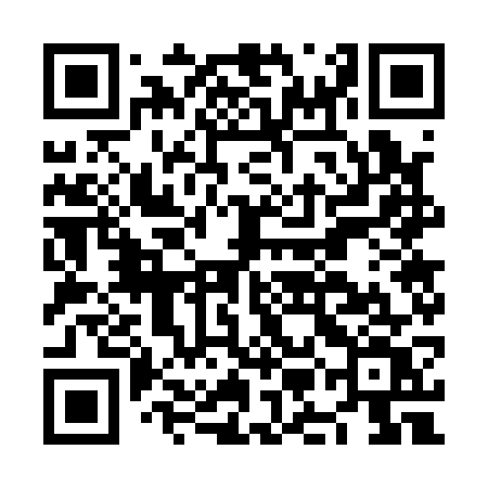 QR code for NMG17V
