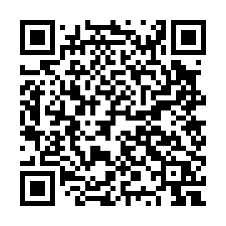 QR code for NPG00P