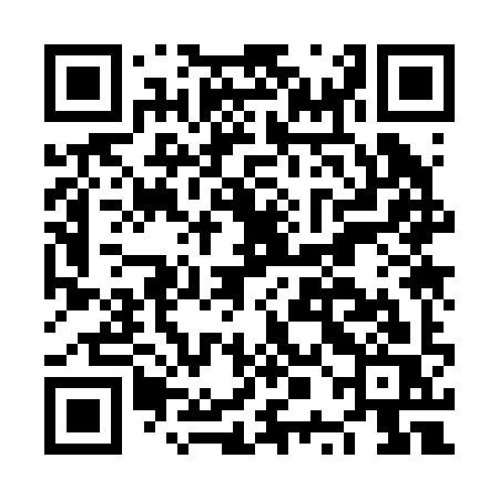 QR code for NPK29S