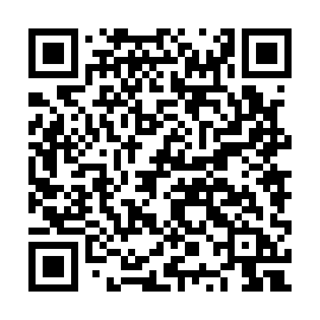 QR code for NPN11B
