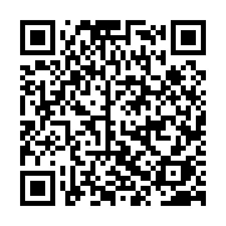 QR code for NPV13H