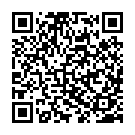 QR code for NPX29P