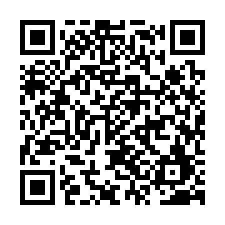 QR code for NSI33F