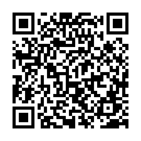 QR code for NSX17V