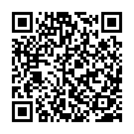 QR code for NTH38X