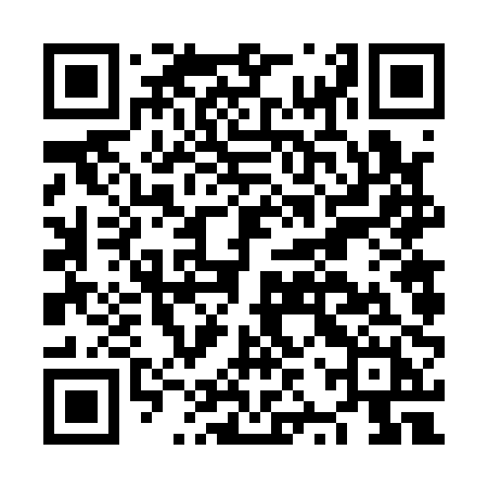 QR code for NZV10H