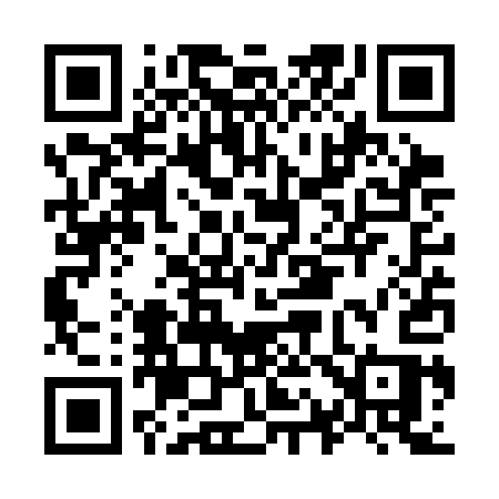 QR code for O13SAS