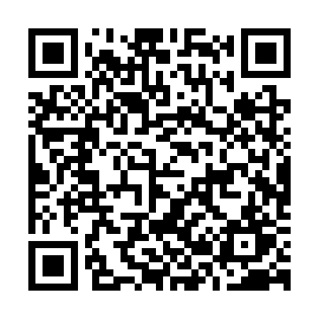 QR code for O20SRT
