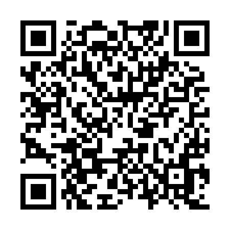 QR code for O46HIN
