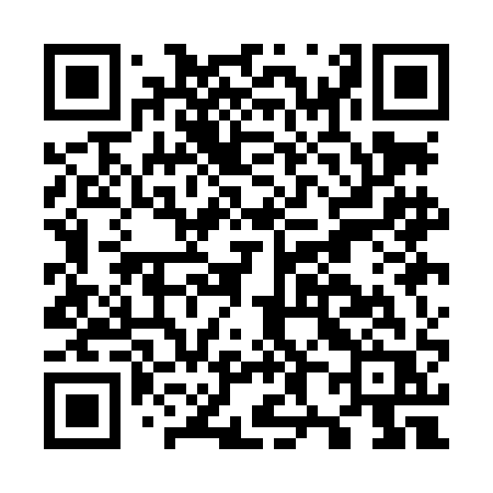 QR code for O81LAR