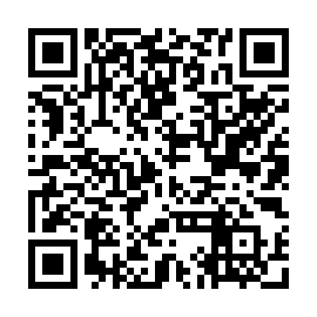 QR code for OIN29Q