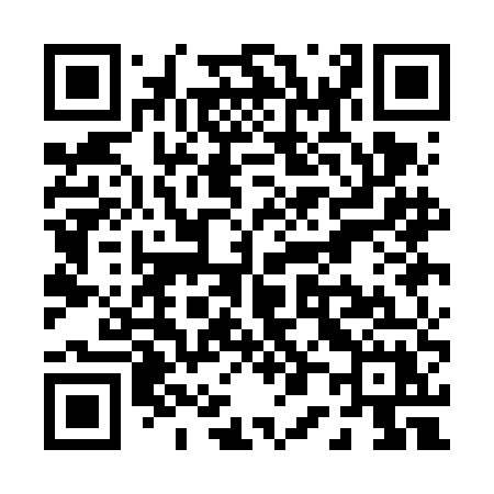 QR code for P01FEX