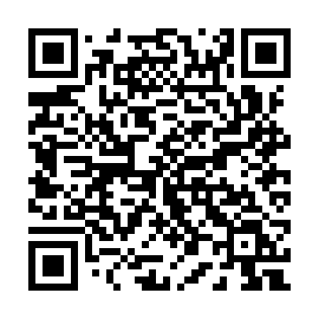 QR code for P02IRL
