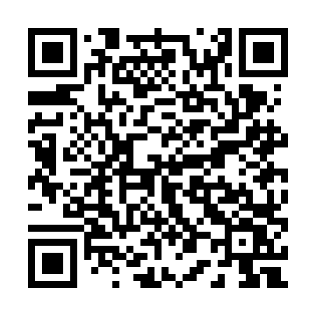 QR code for P03FLV