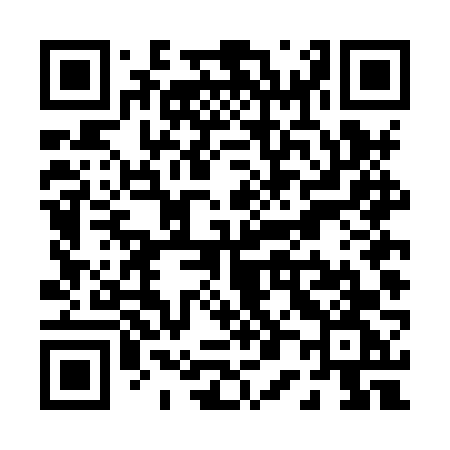 QR code for P04HVG