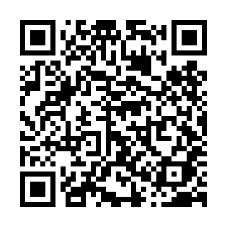 QR code for P06DHI