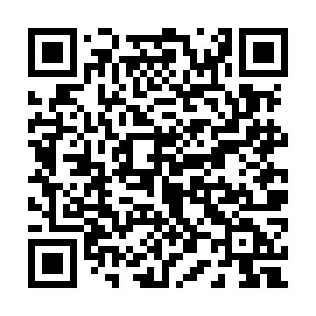 QR code for P06MOD
