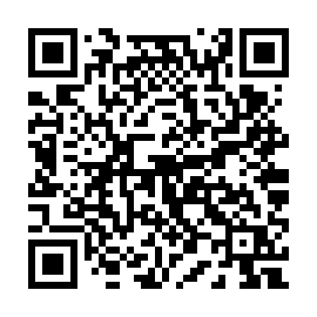 QR code for P06VQR