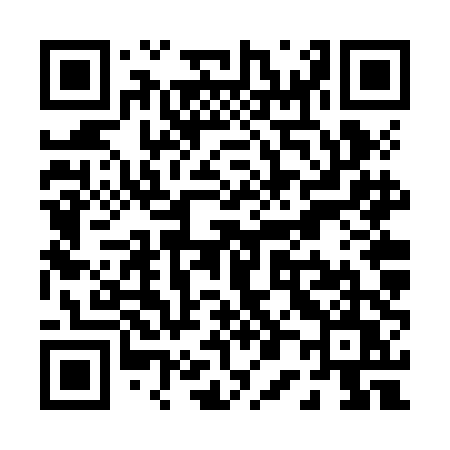 QR code for P06ZDU